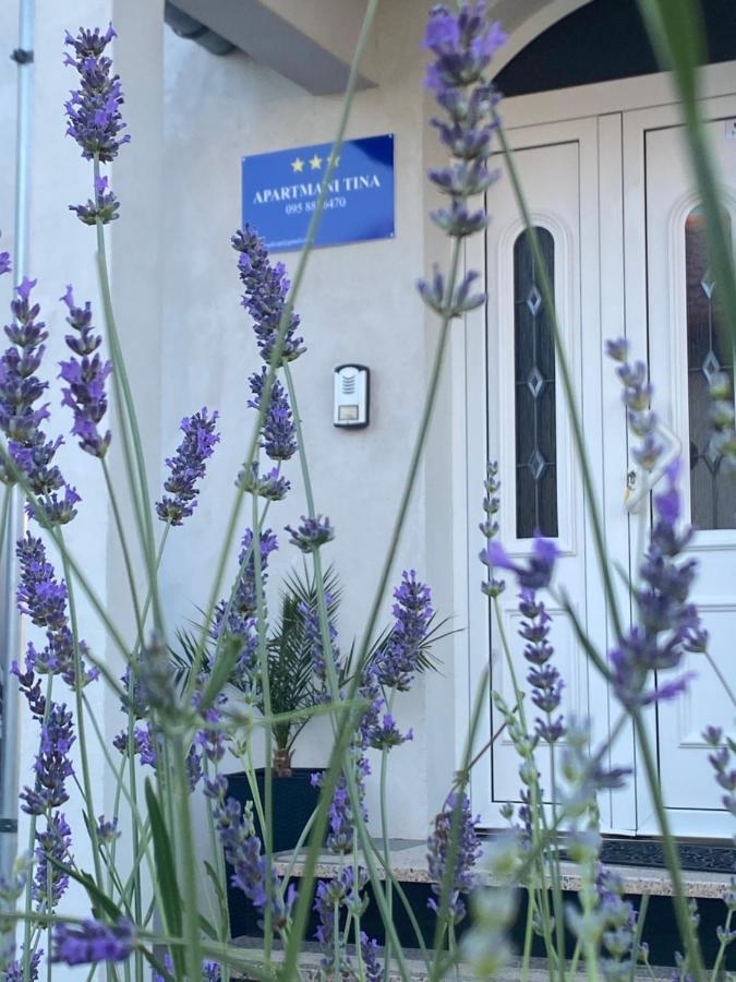 Apartment Tina 로고즈니차 외부 사진